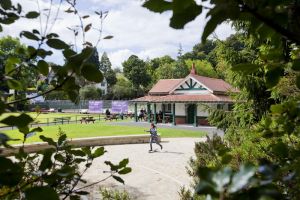 c92-cwmdonkin park 2 sm.jpg